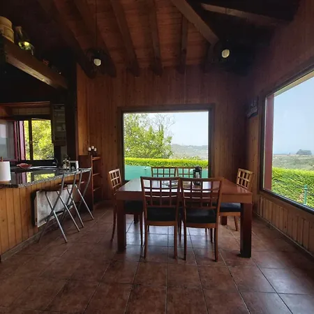 Olivar 51 比利亚维西奥萨